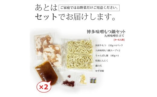 博多 もつ鍋 セット （九州 味噌 仕立て） 4～6人前 国産 牛もつ 600g
