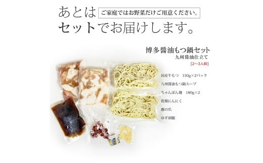 博多 もつ鍋 セット （九州 醤油 仕立て） 2～3人前 国産 牛もつ 300g