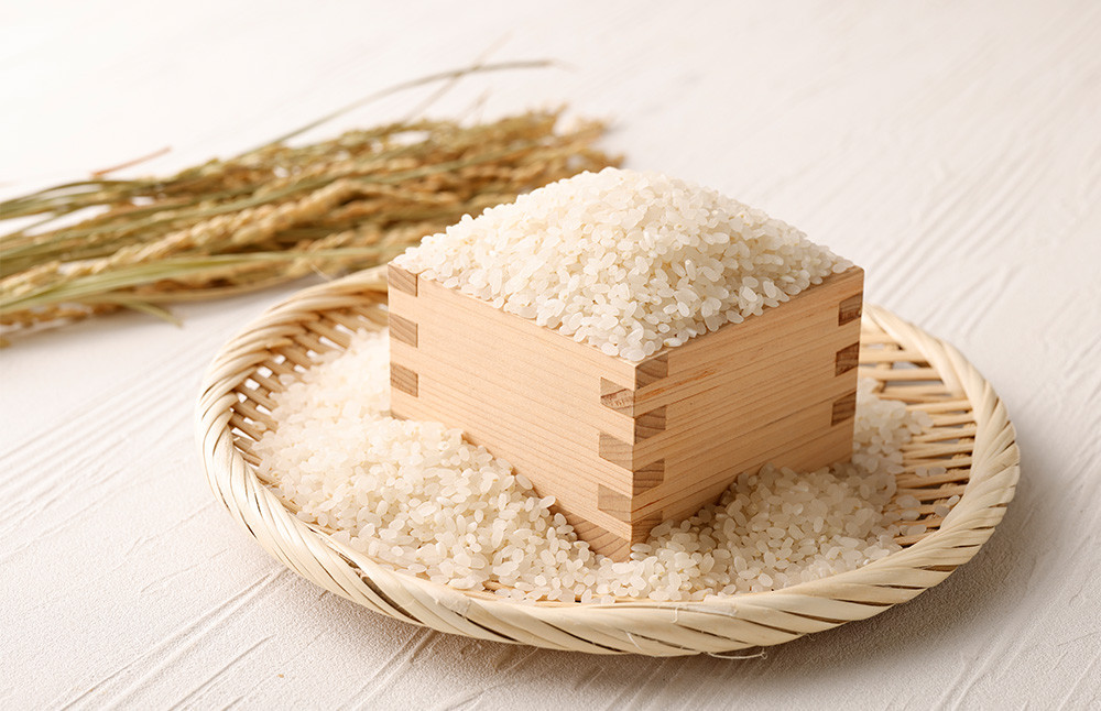 極源流米 お試し パック 約300g 夢つくし