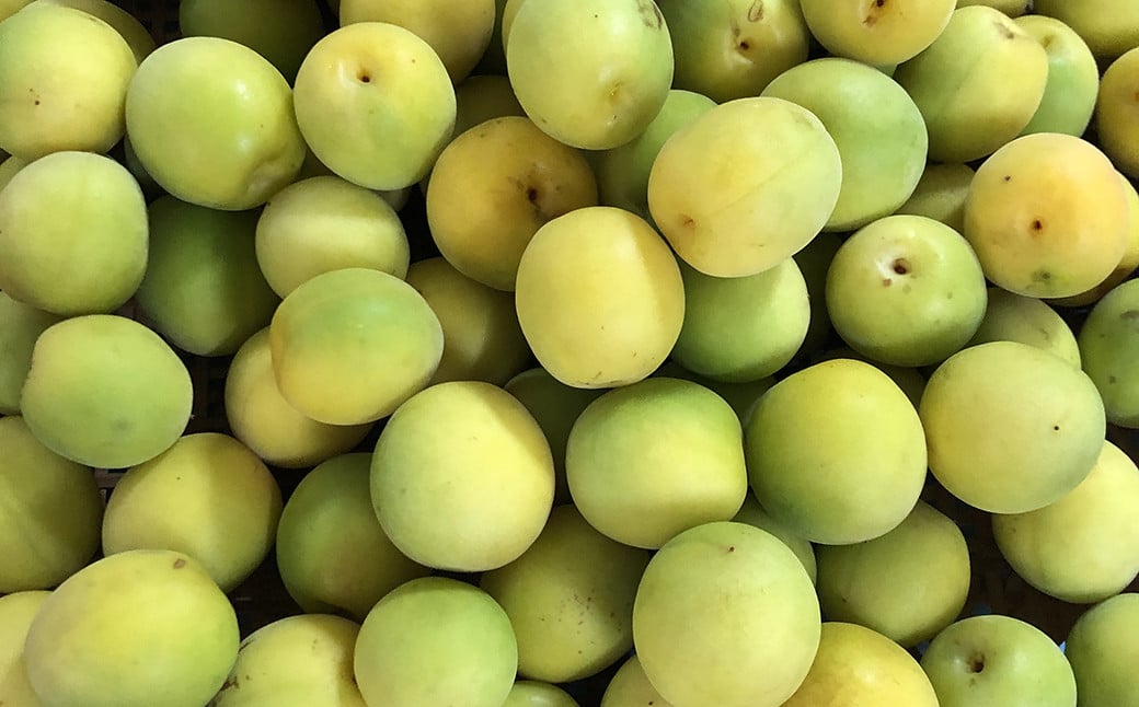 梅ジュース 紅茶梅ジュース 黒糖梅ジュース 3本セット 計1,125ml（375ml×3本） ジュース