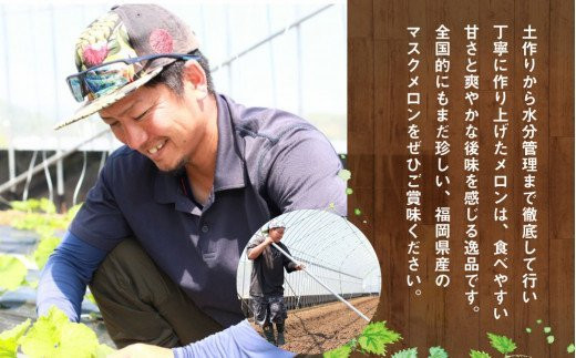 【2023年7月発送開始】 嘉麻市 産 よか メロン 青肉 2玉 マスクメロン