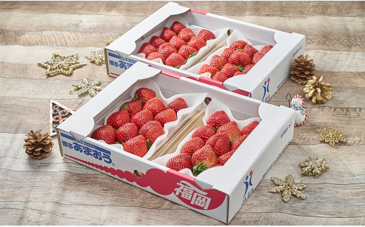 【冬】 いちご 約250～270g×4パック