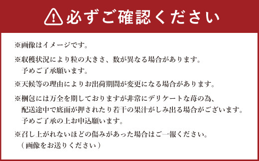 【2023年1月上旬発送開始】福岡県産いちご「あまおう」2パック