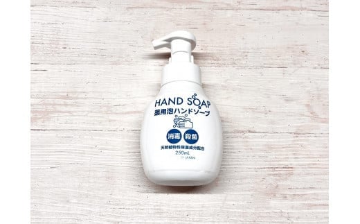 【数量限定】 薬用泡 ハンドソープ 250ｍl×20本 手洗い 洗浄 殺菌 消毒 泡タイプ 福岡県 嘉麻市