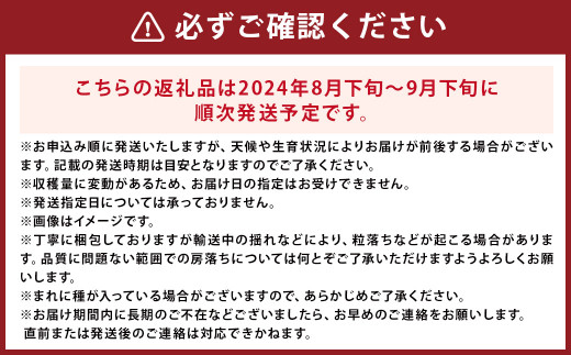 【2024年8月下旬～9月下旬発送】福岡県産シャインマスカット&ピオーネ 合計約2kg