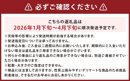 渡邉農園の採れたてあまおう 280g×2パック