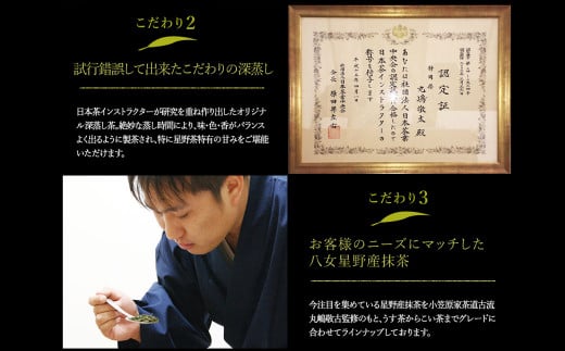 八女茶 煎茶 ペットボトル 500ml×24本 1ケース 緑茶