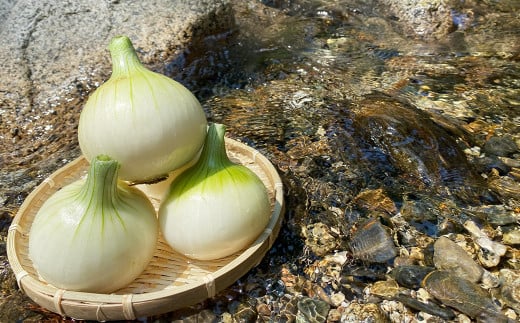 和風玉ねぎドレッシング