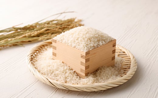 極源流米 5kg 令和5年度産 元気つくし お米 米