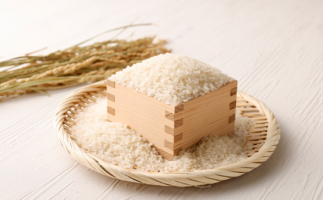 極源流米 計15kg（5kg×3袋） 元気つくし お米 米