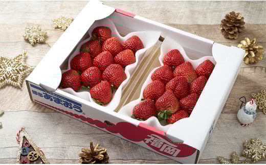 【冬】福岡産 あまおう いちご 約250～270g×2パック