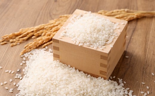 【れんげ米】【令和7年産】 元気つくし（精米） 10kg（5kg×2袋）