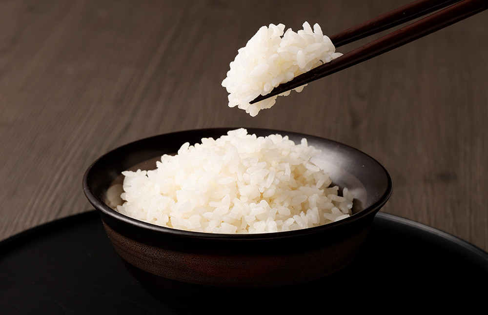 極源流米 お試し パック 約300g 元気つくし