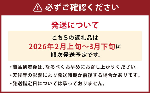【春】福岡産 あまおう いちご 約250～270g×4パック