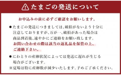 【3ヶ月定期便】鶏卵 30ヶ入×3回 合計90個 たまご  福岡県産