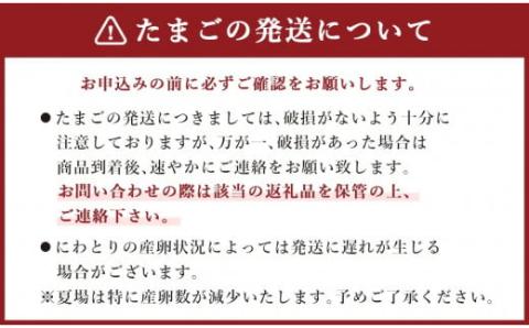 【6ヶ月定期便】鶏卵 30ヶ入×6回 合計180個 たまご 福岡県産