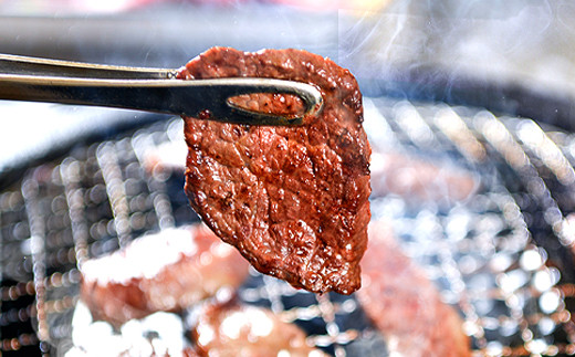 【ANA限定返礼品】 嘉穂牛 赤身焼肉 約360g 牛肉 ブランド牛 高品質