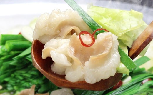 博多 もつ鍋 セット （九州 味噌 仕立て） 2～3人前 国産 牛もつ 300g