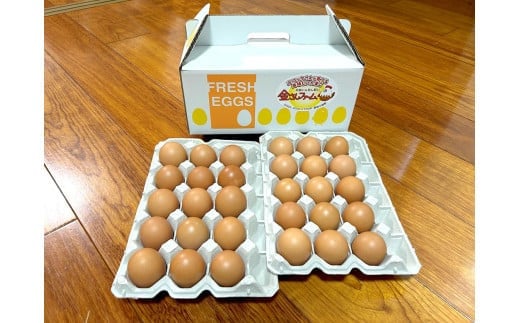 【定期便6回】【平飼い有精卵】30個入（26個+割れ保証4個）