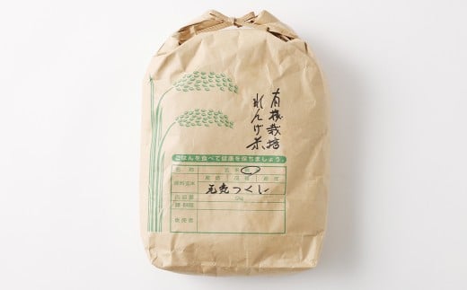【れんげ米】【令和7年産】 元気つくし（精米） 10kg（5kg×2袋）
