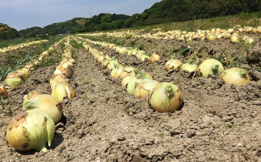 和風玉ねぎドレッシング