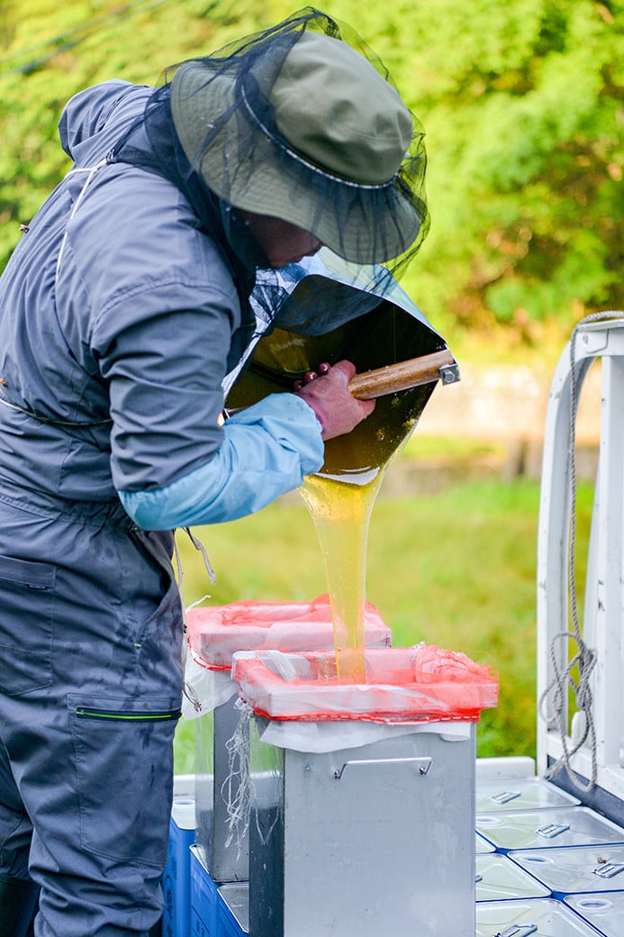 辻養蜂場 レンゲ蜂蜜 300g×2本 計600g はちみつ