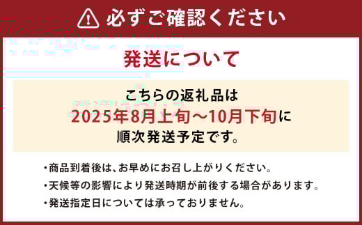 JAふくおか嘉穂 いちじく とよみつひめ 秀品 300g（3～5玉）×4パック 計1.2kg