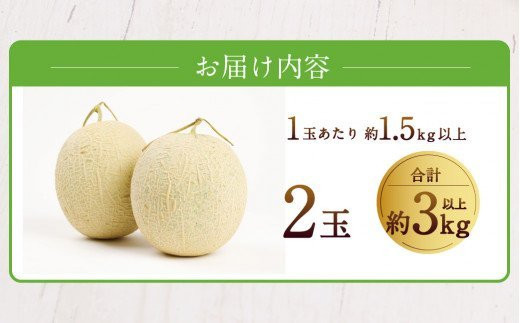 【2023年7月発送開始】 嘉麻市 産 よか メロン 青肉 2玉 マスクメロン