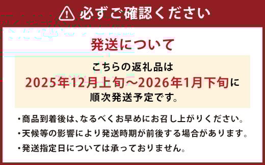 【冬】福岡産 あまおう いちご 約250～270g×2パック