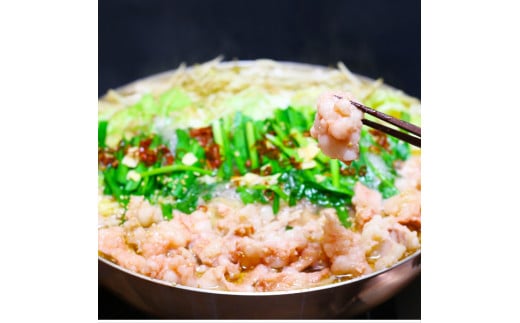 訳あり！ 博多味噌もつ鍋 10人前セット 計約2.4kg