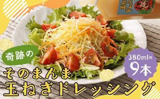 奇跡のそのまんま 玉ねぎドレッシング 9本セット （380ml×9本）