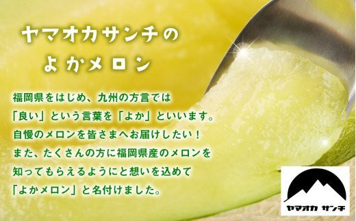 【2023年7月発送開始】 嘉麻市 産 よか メロン 青肉 2玉 マスクメロン