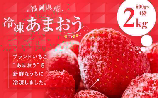福岡県産 冷凍 あまおう 合計2kg (500g×4袋) いちご 苺 フルーツ
