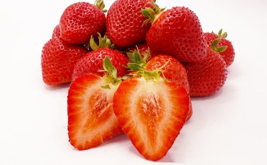 渡邉農園の採れたてあまおう 280g×2パック