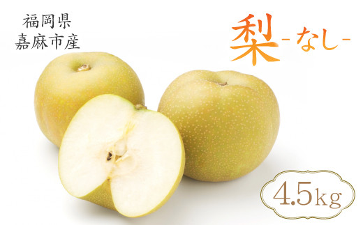 【2023年11月～12月発送】梨 4.5kg 九州産 二十世紀 豊水 南水 あきづき 新高 新興 王秋