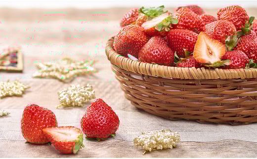 【冬】福岡産 あまおう いちご 約250～270g×2パック