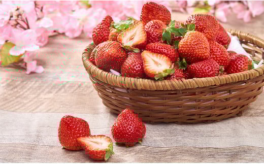 【春】福岡産 あまおう いちご 約250～270g×6パック