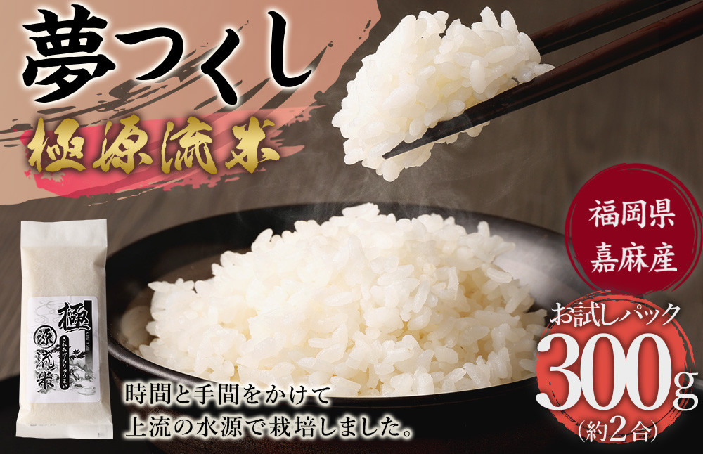 極源流米 お試し パック 約300g 夢つくし