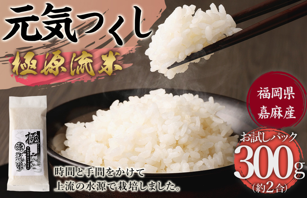 極源流米 お試し パック 約300g 元気つくし