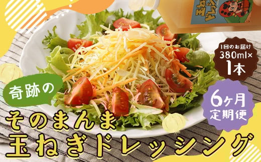 【6回定期便】 奇跡のそのまんま 玉ねぎドレッシング 380ml 計6本