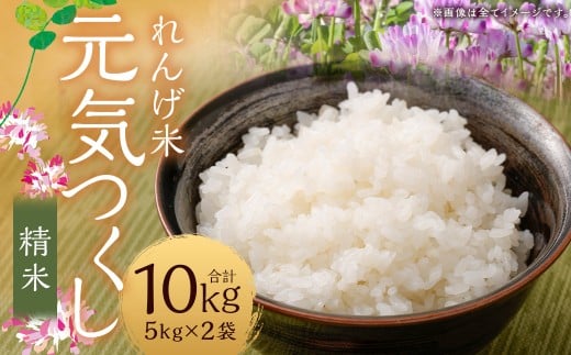 【れんげ米】【令和7年産】 元気つくし（精米） 10kg（5kg×2袋）