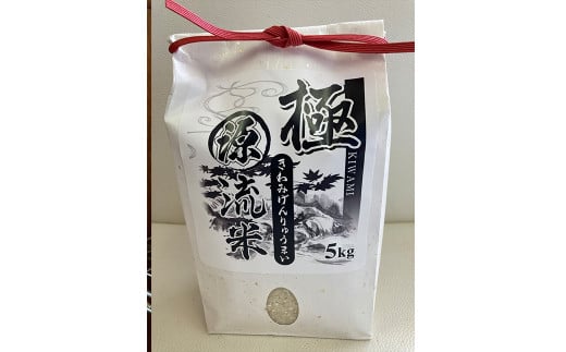 極源流米 5kg 令和5年度産 元気つくし お米 米