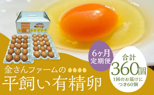 【定期便6回】【平飼い有精卵】60個入（54個+割れ保証6個）