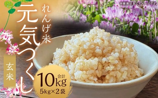 【れんげ米】【令和7年産】 元気つくし（玄米） 10kg（5kg×2袋）