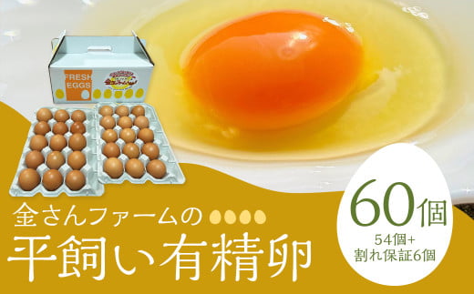 【平飼い有精卵】60個入（54個+割れ保証6個）