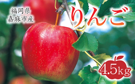 [2023年10月上旬から11月下旬迄順次発送] りんご 4.5kg 九州産 シナノスイート 陽光 新世界 シナノゴールド ぐんま名月 果物 フルーツ