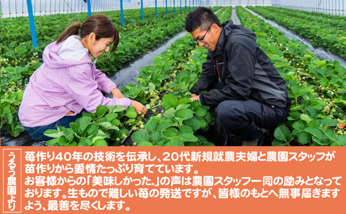 【朝倉市制施行20周年記念企画】 いちご 2025年12月より発送 特選あまおう 400g※配送不可：離島