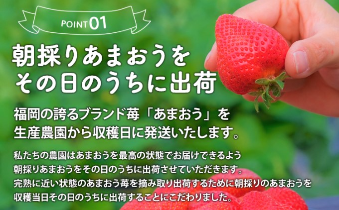 【朝倉市制施行20周年記念企画】 いちご 2025年12月より発送 特選あまおう 400g※配送不可：離島