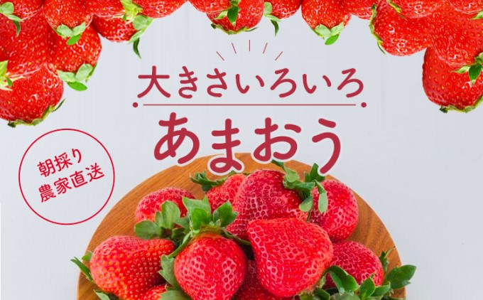【朝倉市制施行20周年記念企画】 訳あり いちご 2026年3月中旬より発送 あまおう サイズ色々 4パック 約1.14kg 配送不可 離島 果物 フルーツ 福岡県産あまおう