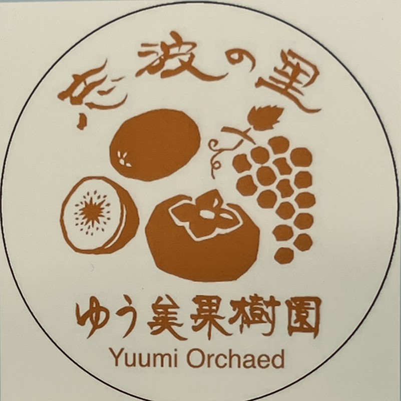 【朝倉市制施行20周年記念企画】 ２０２６年先行予約　葡萄 ピオーネ 1～3房 約1kg 数量限定 ゆう美果樹園 ※配送不可：離島